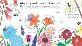 How do flowers grow?