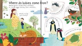Where do babies come from?